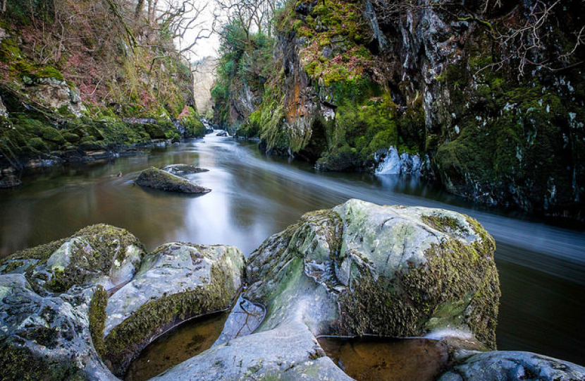 fairy glen