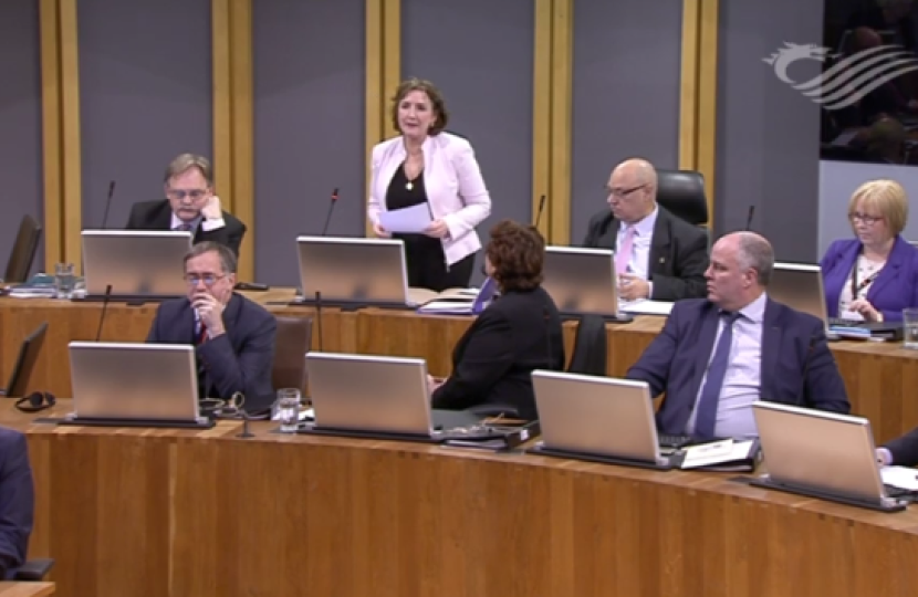 JFS Senedd