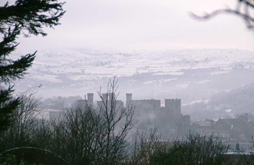 Credit: Mr Gary Willetts, Deganwy