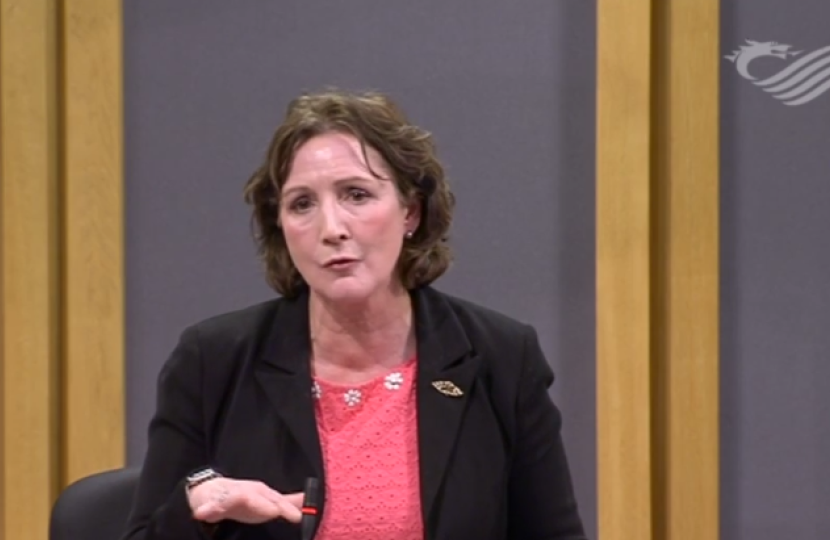 Senedd