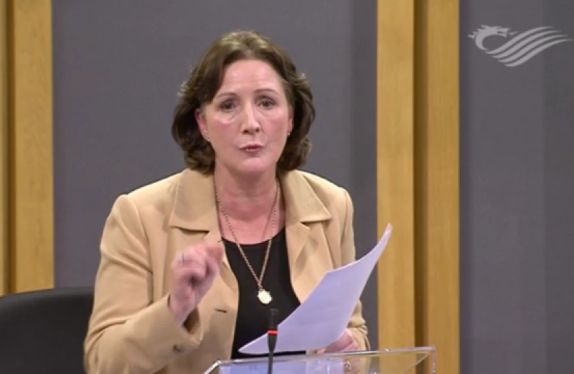 Senedd