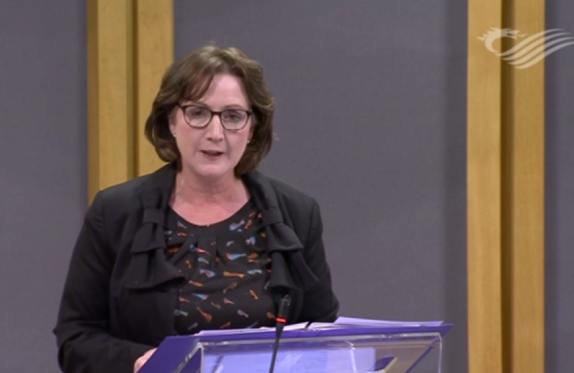 Senedd