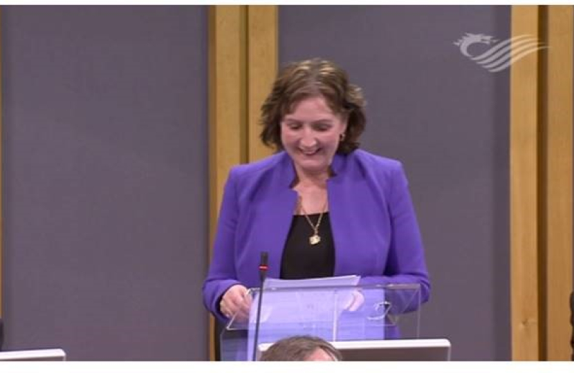Janet in the Senedd