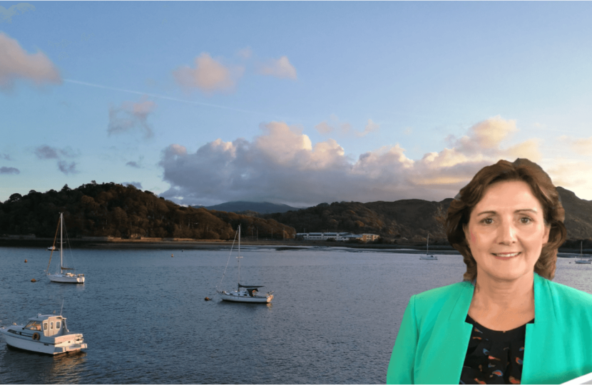Janet Conwy Estuary