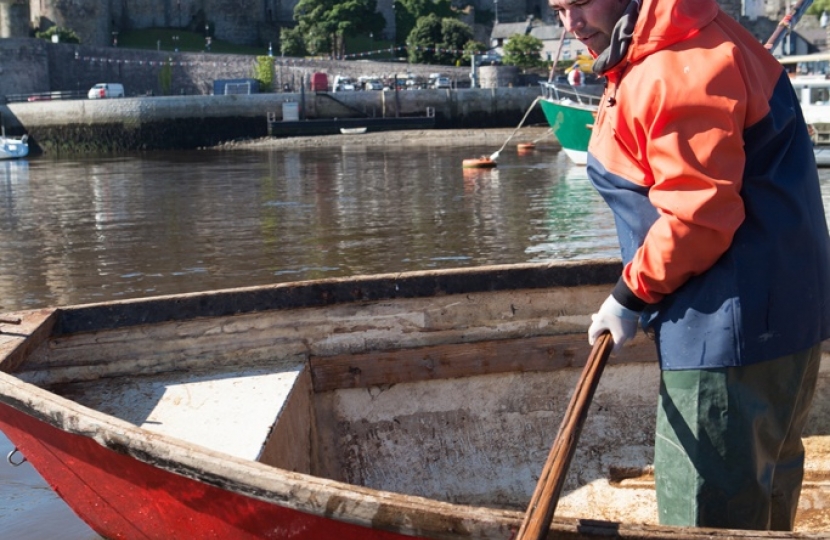 Conwy Mussels: David White photography 