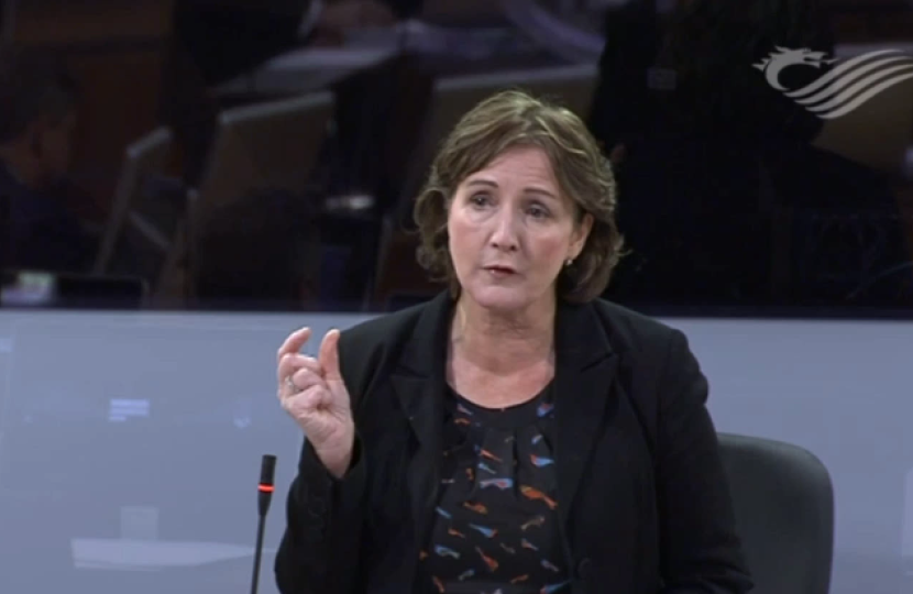 Janet in the Senedd