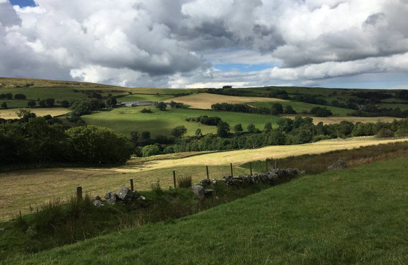 Ysbyty Ifan