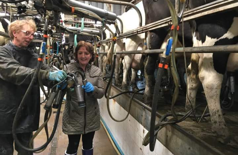 Milking