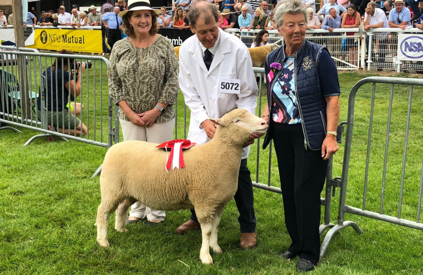 Janet at Royal Welsh with dorset down winner
