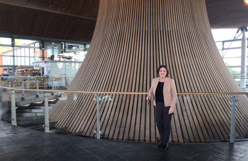Senedd 