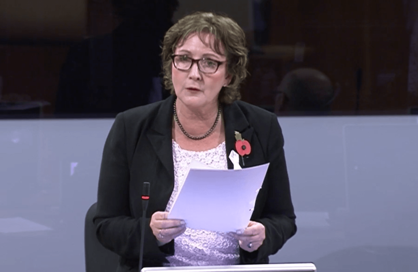 Senedd