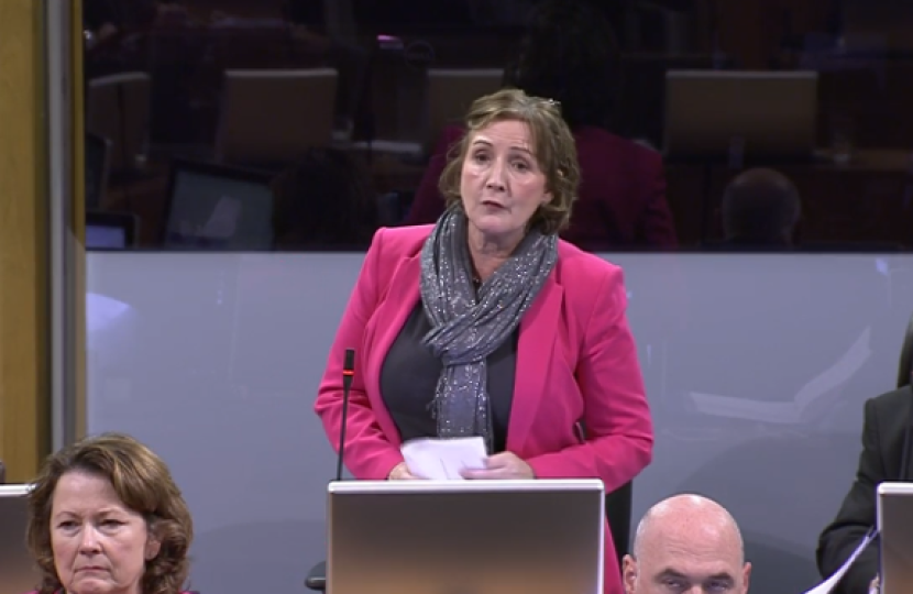 Janet in the senedd 111218