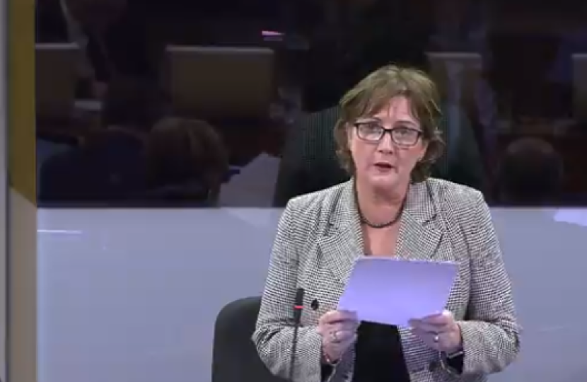 Janet in the senedd 41218