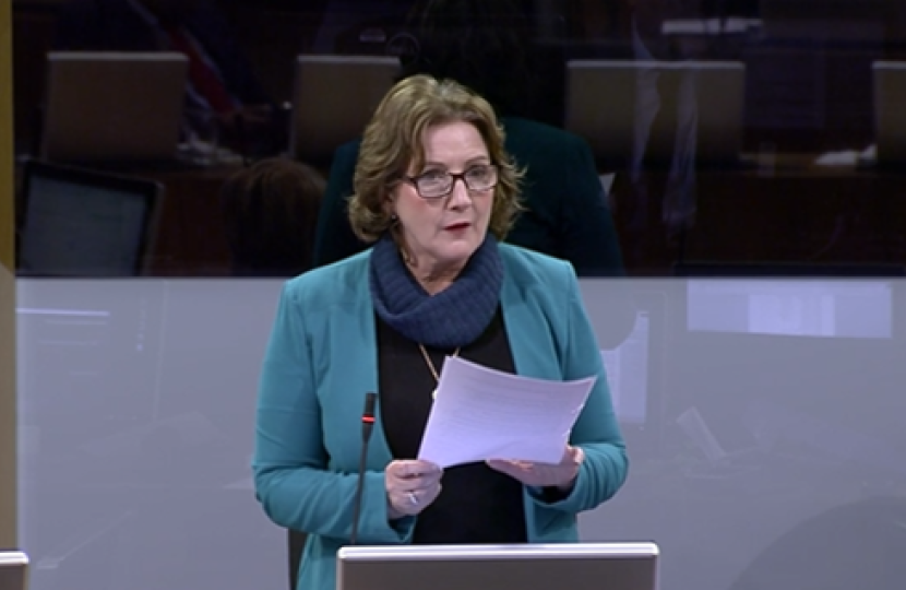 Janet in the senedd 300119