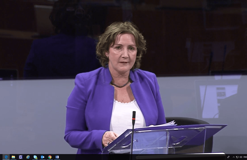 Janet in the senedd