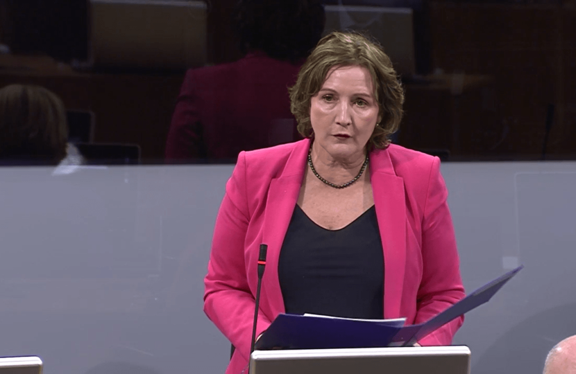 Janet in the senedd