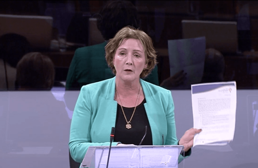 Janet in the education debate