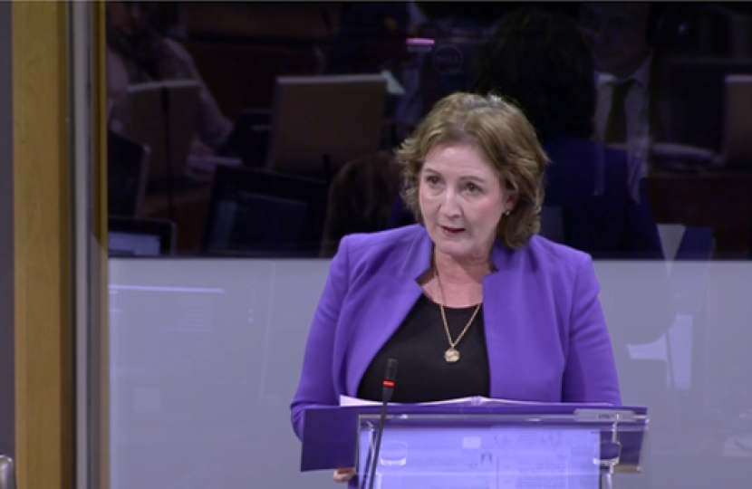 Janet in the Senedd