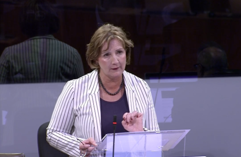 Janet and the counsel general planning