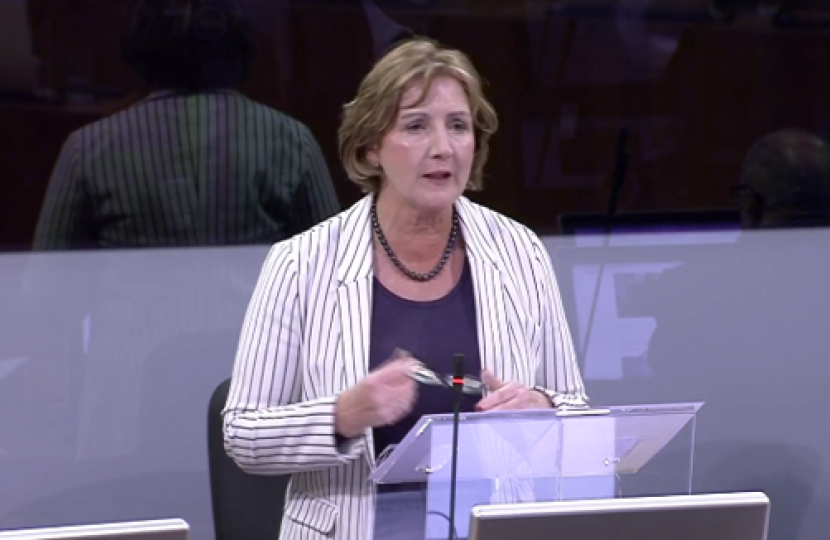 Janet and the counsel general