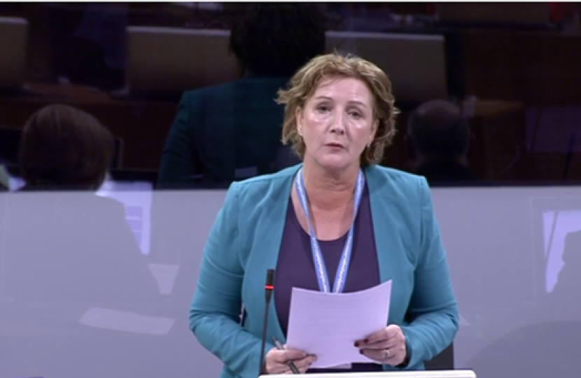 Janet in the Senedd 6319 local government