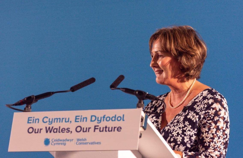 Janet at conference 2019 