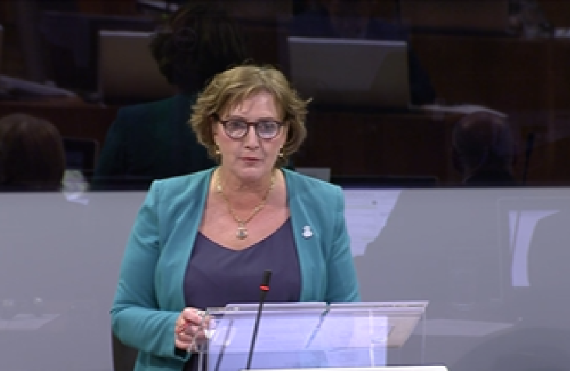 Janet in petition committee debate