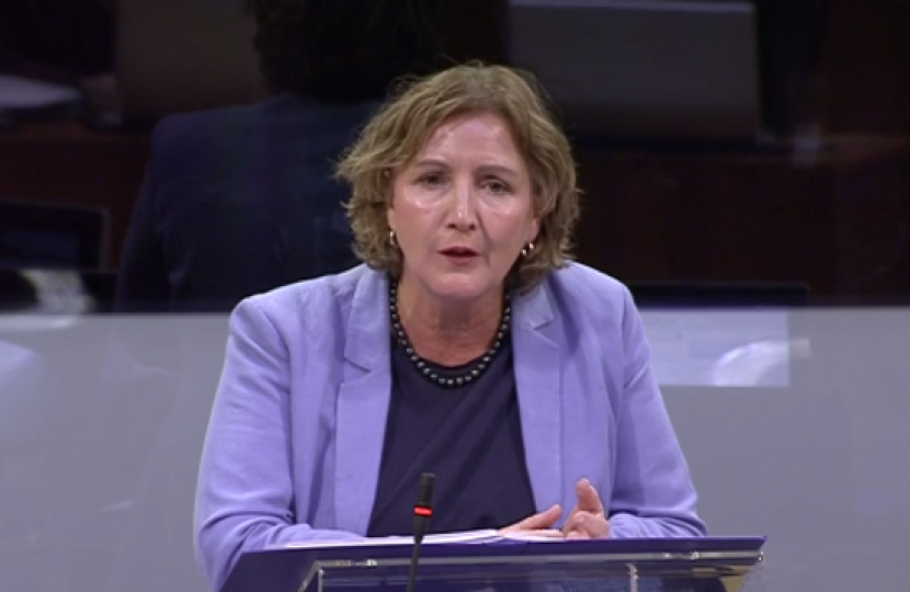 Janet in plenary 3519