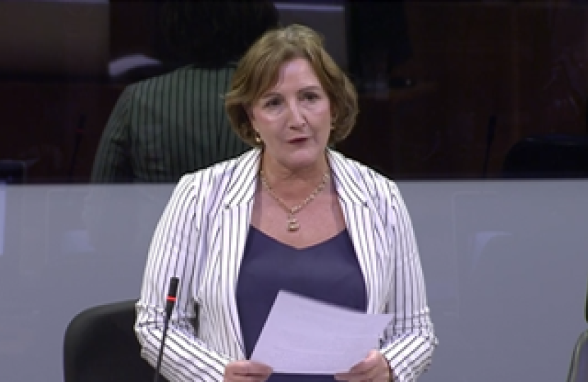 Janet in the Senedd 22519