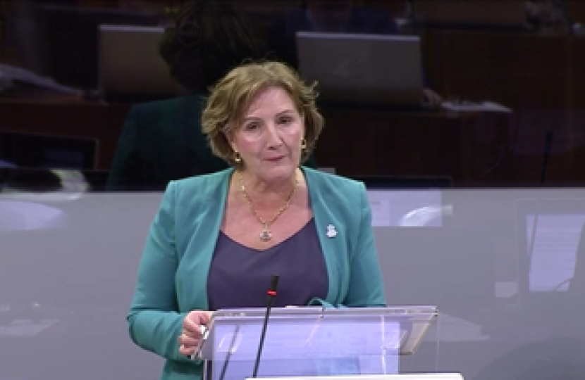 Janet in the senedd 22519 