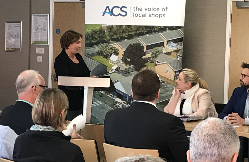 Janet at the cross party group two