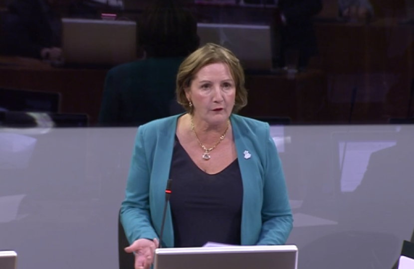 Janet during questions to the brexit minister 12619