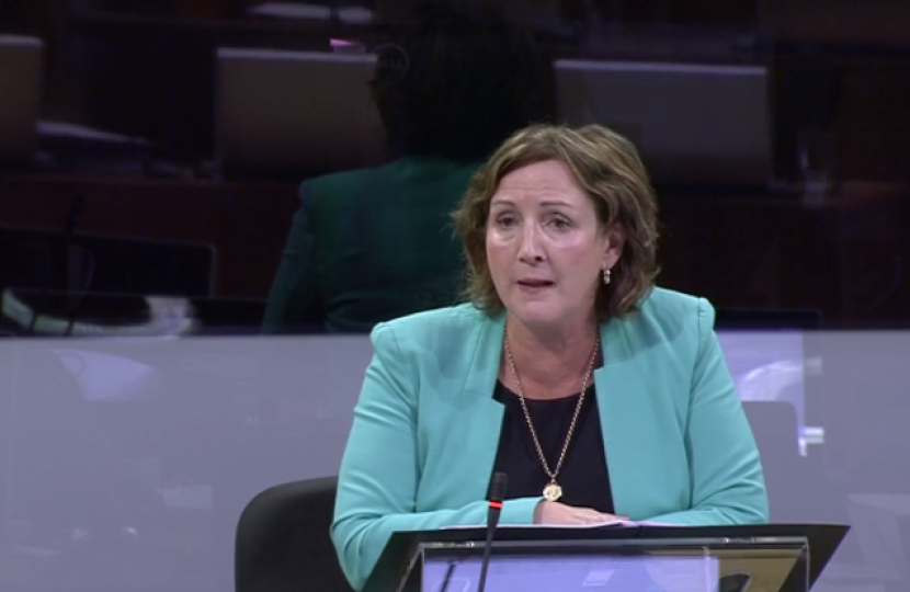 Janet in the senedd 25919 spokesperson