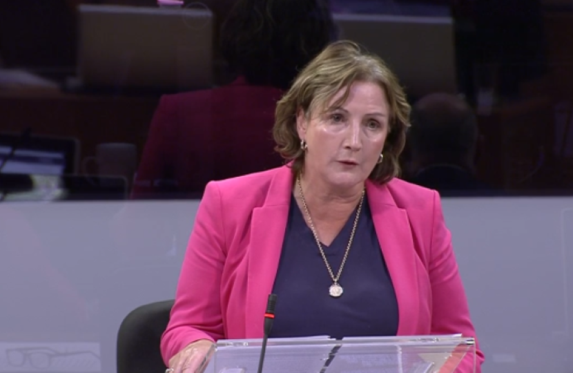 Janet questioning the counsel general 17919