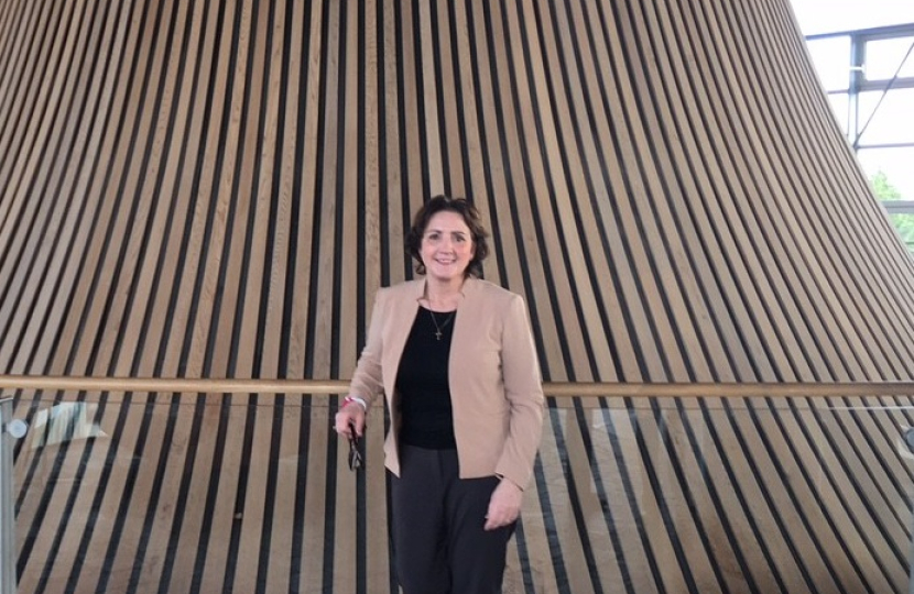Senedd