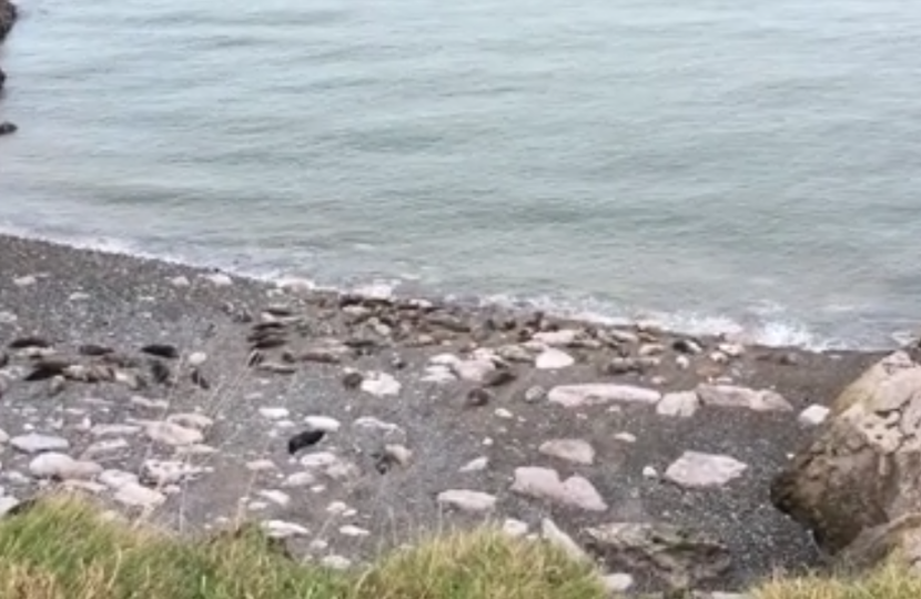Seals