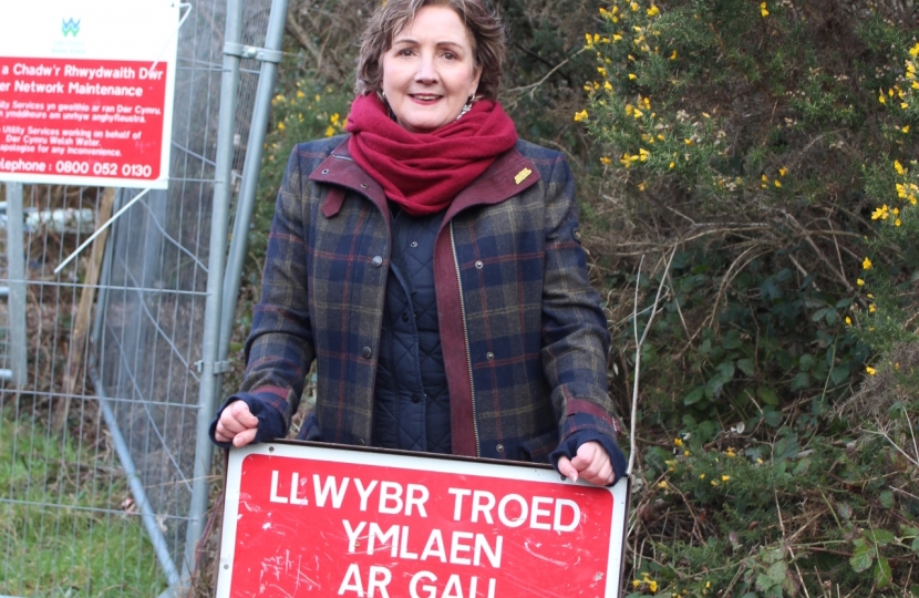 Janet Finch-Saunders MS