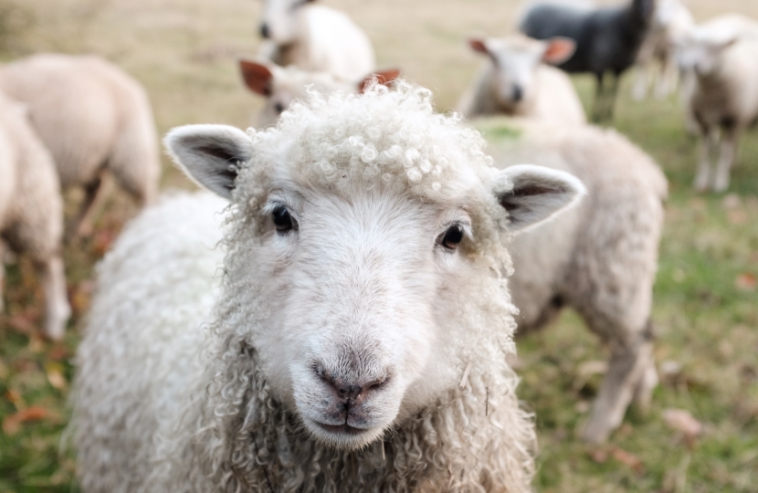 Photo: by Sam Carter on Unsplash