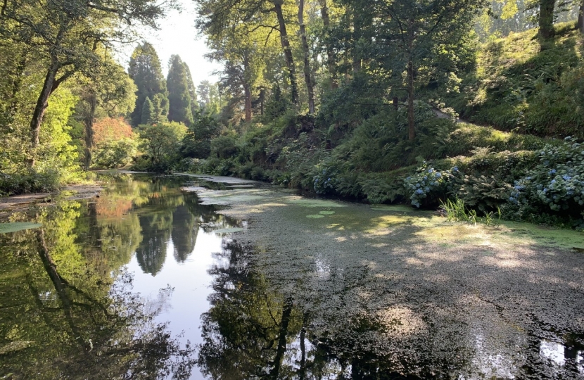 Janet Finch-Saunders MS