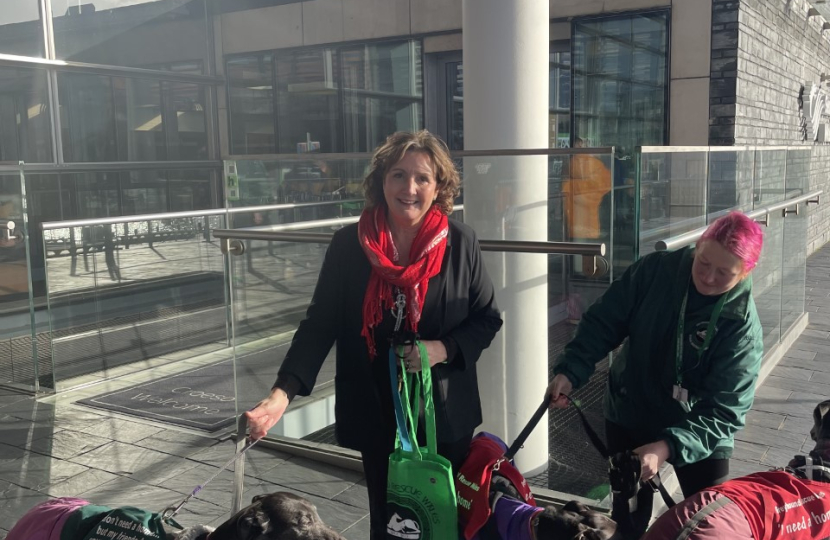 Janet Finch-Saunders MS