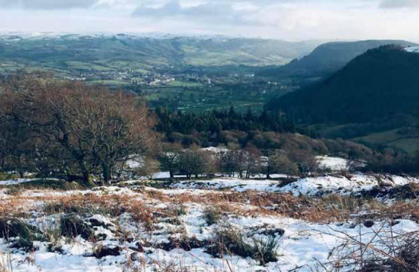 Janet Finch-Saunders MS