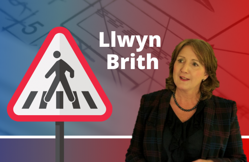 Janet Finch-Saunders MS