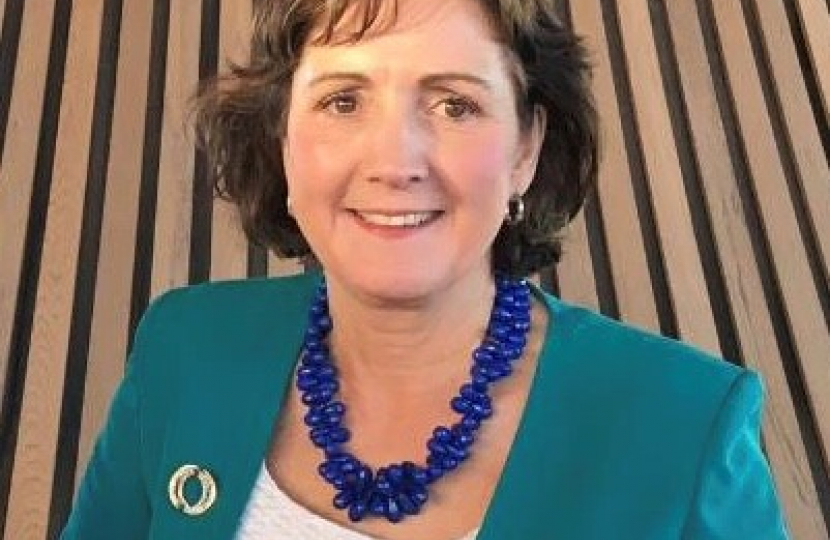 Aberconwy MS highlights local concerns ahead of A470 review 