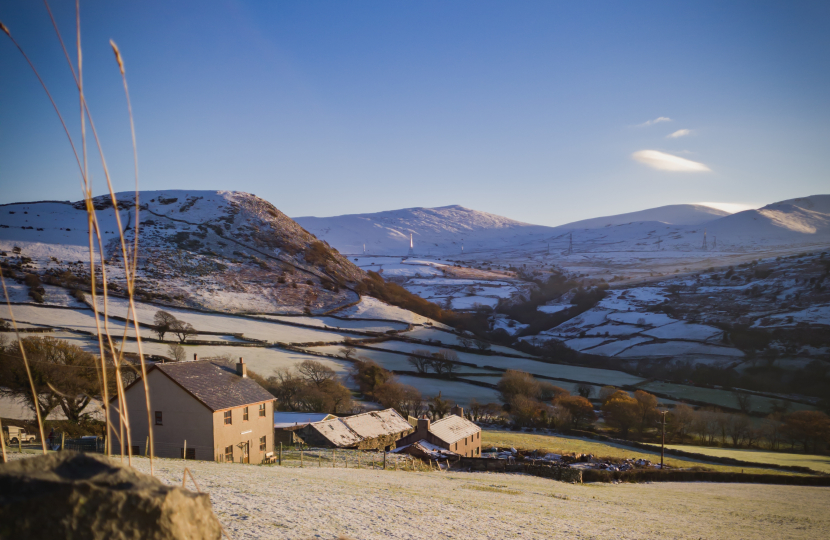 Snow Countryside