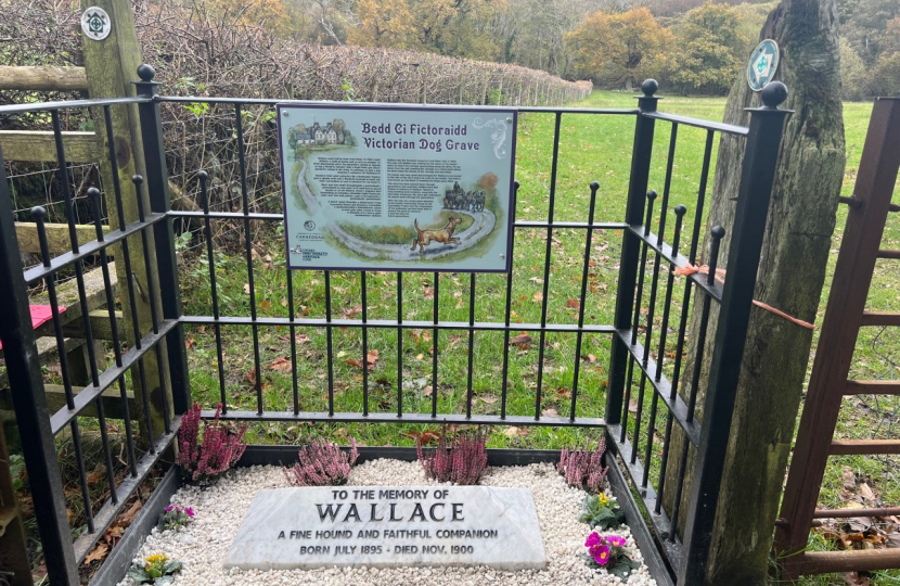The Memorial Site for Wallace the Dog