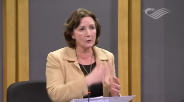 Senedd