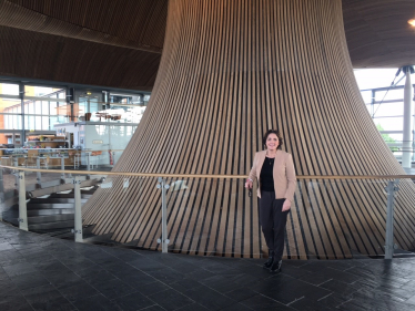 senedd