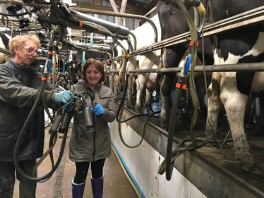 Milking