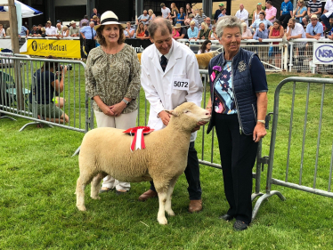 Janet at Royal Welsh with dorset down winner