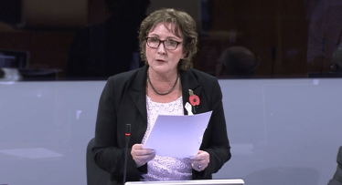 Senedd